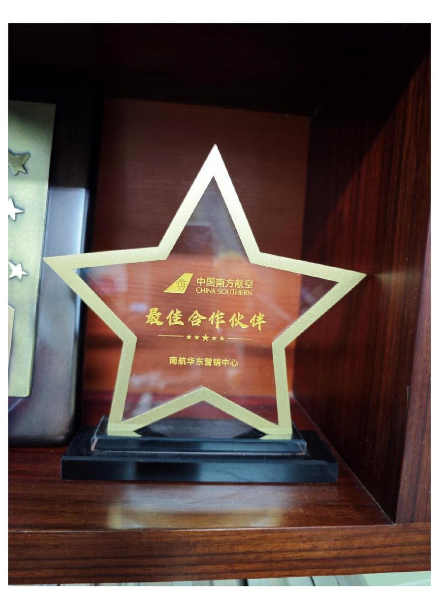 中国南方航空五星最佳合作伙伴奖杯